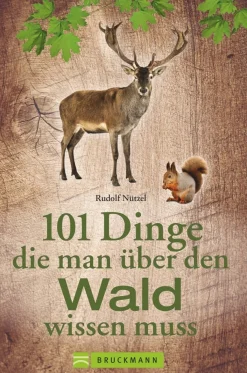 Waschbär 101 Dinge, die man über den Wald wissen muss. Clearance