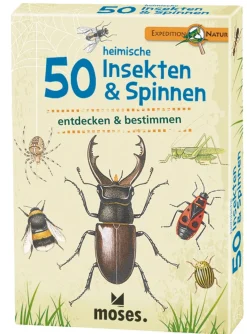 Waschbär 50 heimische Insekten & Spinnen entdecken & bestimmen. New