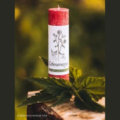 Waschbär Allgäuer Heilkräuterkerze »Lebensenergie«. Discount