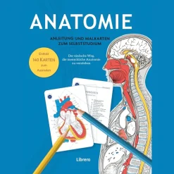 Waschbär Anatomie - Anleitung und Malkarten zum Selbststudium. Der einfache Weg, die menschliche Anatomie zu verstehen. Hot