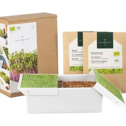 Waschbär Anzuchtset für frische Keime. Sale