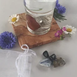 Waschbär »AquaViva«-Set zur Wasseraufbereitung. Nervensystem.