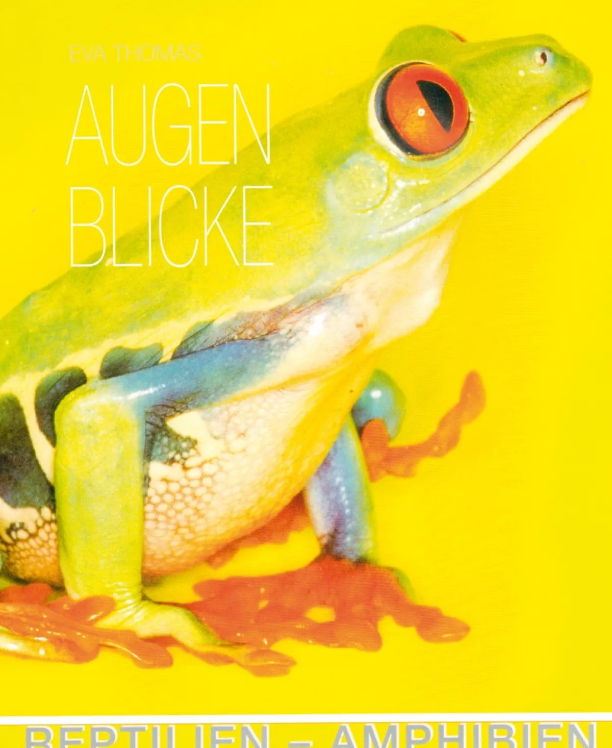 Waschbär Augenblicke: Reptilien - Amphibien Sale