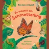 Waschbär Aus klein wird groß. So wächst ein Schmetterling. Hot