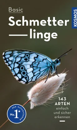 Waschbär Basic Schmetterlinge. Clearance