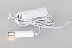 Waschbär Beleuchtung für Annaberger Faltsterne. Online