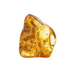 Waschbär Bernstein-Handschmeichler, poliert Outlet