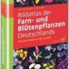 Waschbär Bildatlas der Farn- und Blütenpflanzen Deutschlands. Online