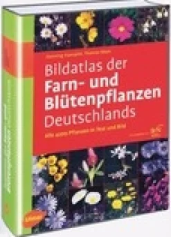 Waschbär Bildatlas der Farn- und Blütenpflanzen Deutschlands. Online