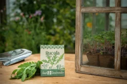 Waschbär Bio-Saatgut Rucola »Grazia« (Diplotaxis tenuifolia). Outlet