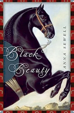 Waschbär Black Beauty. New