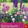 Waschbär Blumenbeete. Einfache Pflanzrezepte zum Nachgestalten. Online