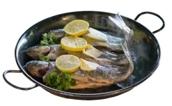 Waschbär Bratpfanne für Feuerschale. Clearance