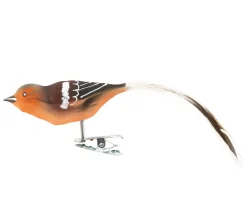 Waschbär Buchfink Glasvogel. Best