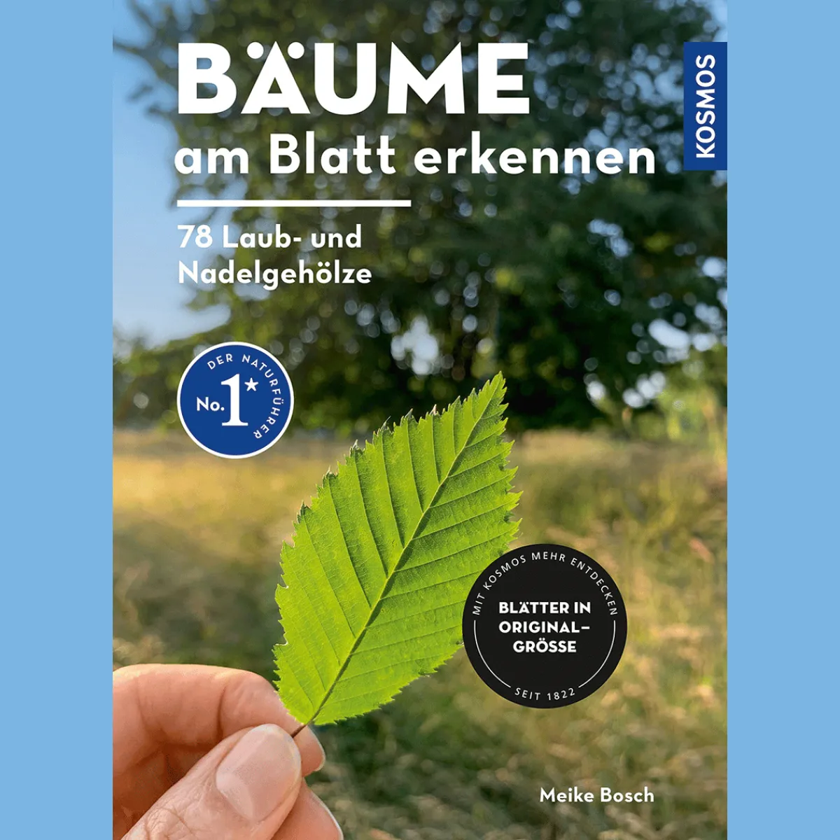 Waschbär Bäume am Blatt erkennen. 78 Laub- und Nadelgehölze. Blätter in Originalgröße. Outlet