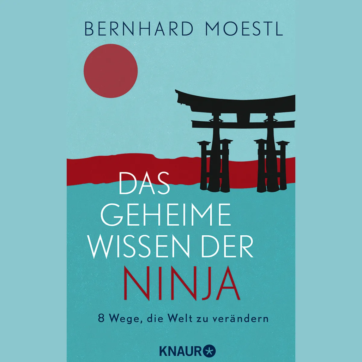Waschbär Das geheime Wissen der Ninja. 8 Wege, die Welt zu verändern. Clearance