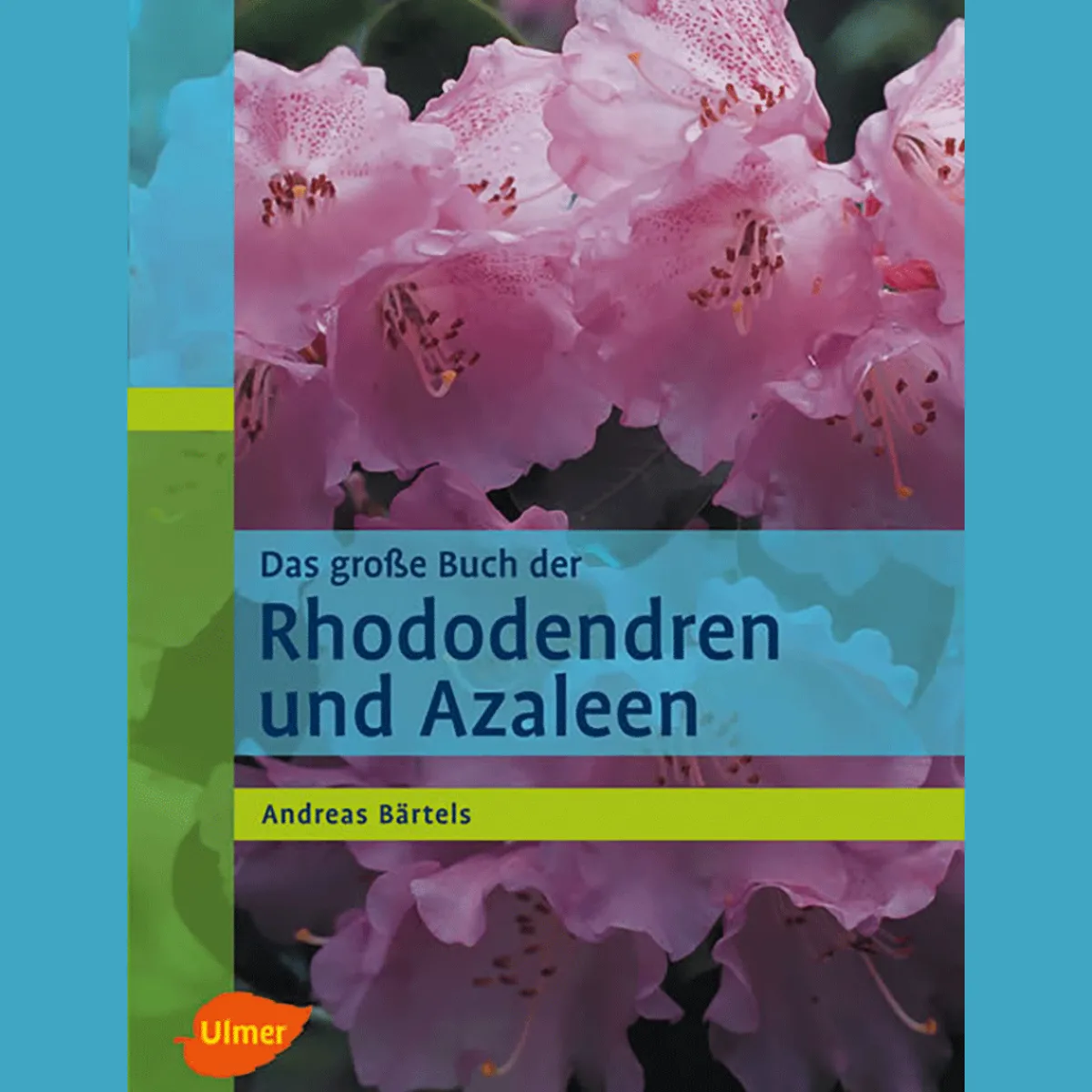 Waschbär Das große Buch der Rhododendren und Azaleen. Sale
