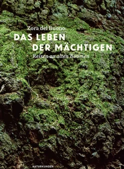 Waschbär Das Leben der Mächtigen. Reisen zu alten Bäumen. Discount