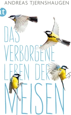 Waschbär Das verborgene Leben der Meisen. Hot