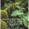 Waschbär Das verborgene Leben des Waldes. Ein Jahr Naturbeobachtung. Discount