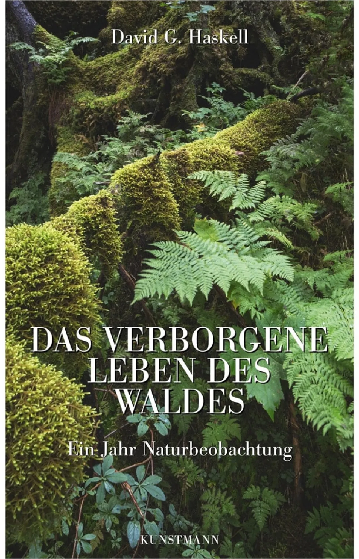 Waschbär Das verborgene Leben des Waldes. Ein Jahr Naturbeobachtung. Discount