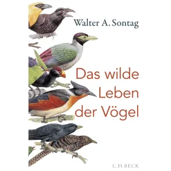 Waschbär Das wilde Leben der Vögel. Von Nachtschwärmern, Kuckuckskindern und leidenschaftlichen Sängern.
