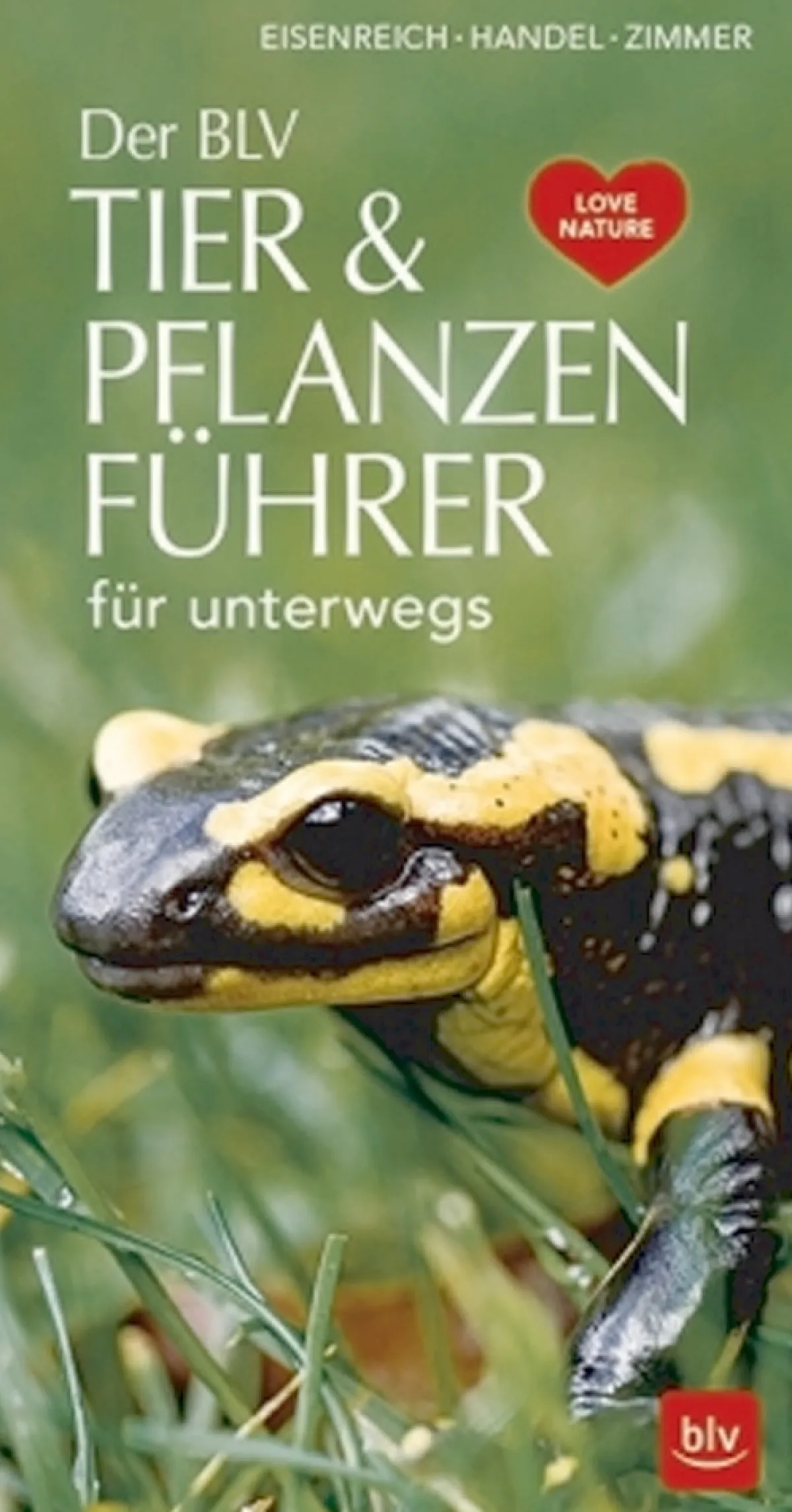 Waschbär Der BLV Tier & Pflanzenführer für unterwegs