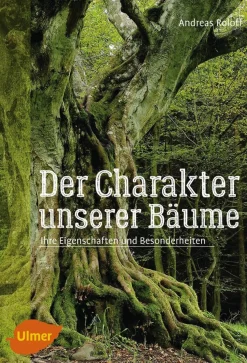 Waschbär Der Charakter unserer Bäume. Ihre Eigenschaften und Besonderheiten. New