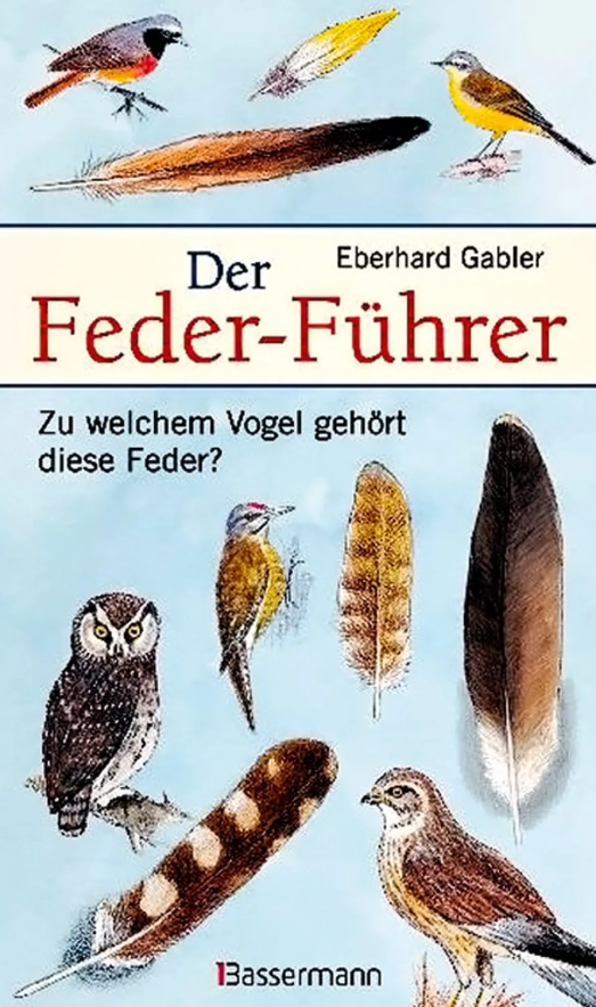 Waschbär Der Feder-Führer. Zu welchem Vogel gehört diese Feder? Outlet