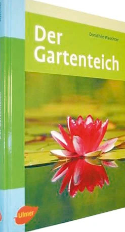 Waschbär Der Gartenteich Best