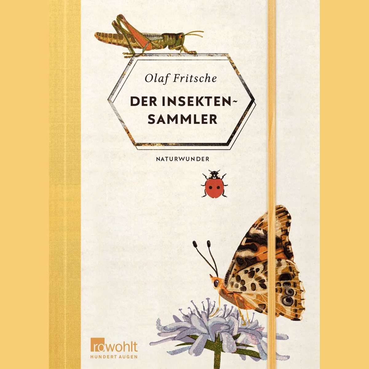 Waschbär Der Insektensammler. Discount