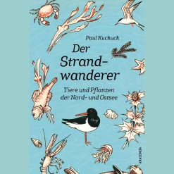 Waschbär Der Strandwanderer. Tiere und Pflanzen der Nord- und Ostsee. Sale