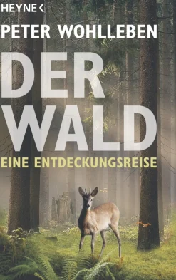 Waschbär Der Wald - Ein Nachruf Online