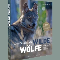 Waschbär Deutschlands wilde Wölfe. Discount