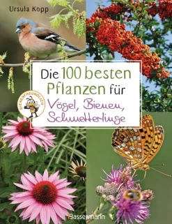 Waschbär Die 100 besten Pflanzen für Vögel, Bienen, Schmetterlinge. Online