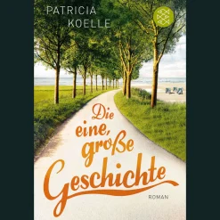 Waschbär Die eine, große Geschichte: Roman. Sale