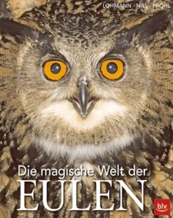 Waschbär Die magische Welt der Eulen. Online