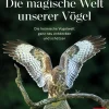 Waschbär Die magische Welt unserer Vögel. Hot