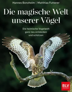 Waschbär Die magische Welt unserer Vögel. Hot