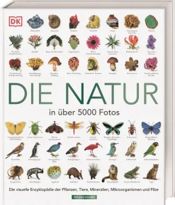 Waschbär Die Natur in über 5000 Fotos. Die visuelle Enzyklopädie der Pflanzen, Tiere, Mineralien, Mikroorganismen und Pilze. Hot