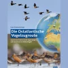Waschbär Die Ostatlantische Vogelzugroute. Spannende Einblicke in die Zugstrategien und den Schutz von Küstenvögeln.