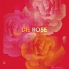 Waschbär Die Rose. in Fotografie, Grafik, Kunst, Kunsthandwerk und Mode. New
