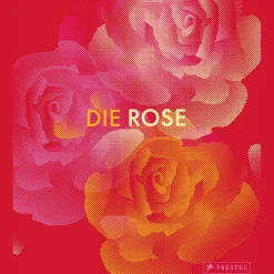 Waschbär Die Rose. in Fotografie, Grafik, Kunst, Kunsthandwerk und Mode. New