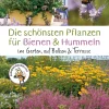 Waschbär Die schönsten Pflanzen für Bienen und Hummeln. Online