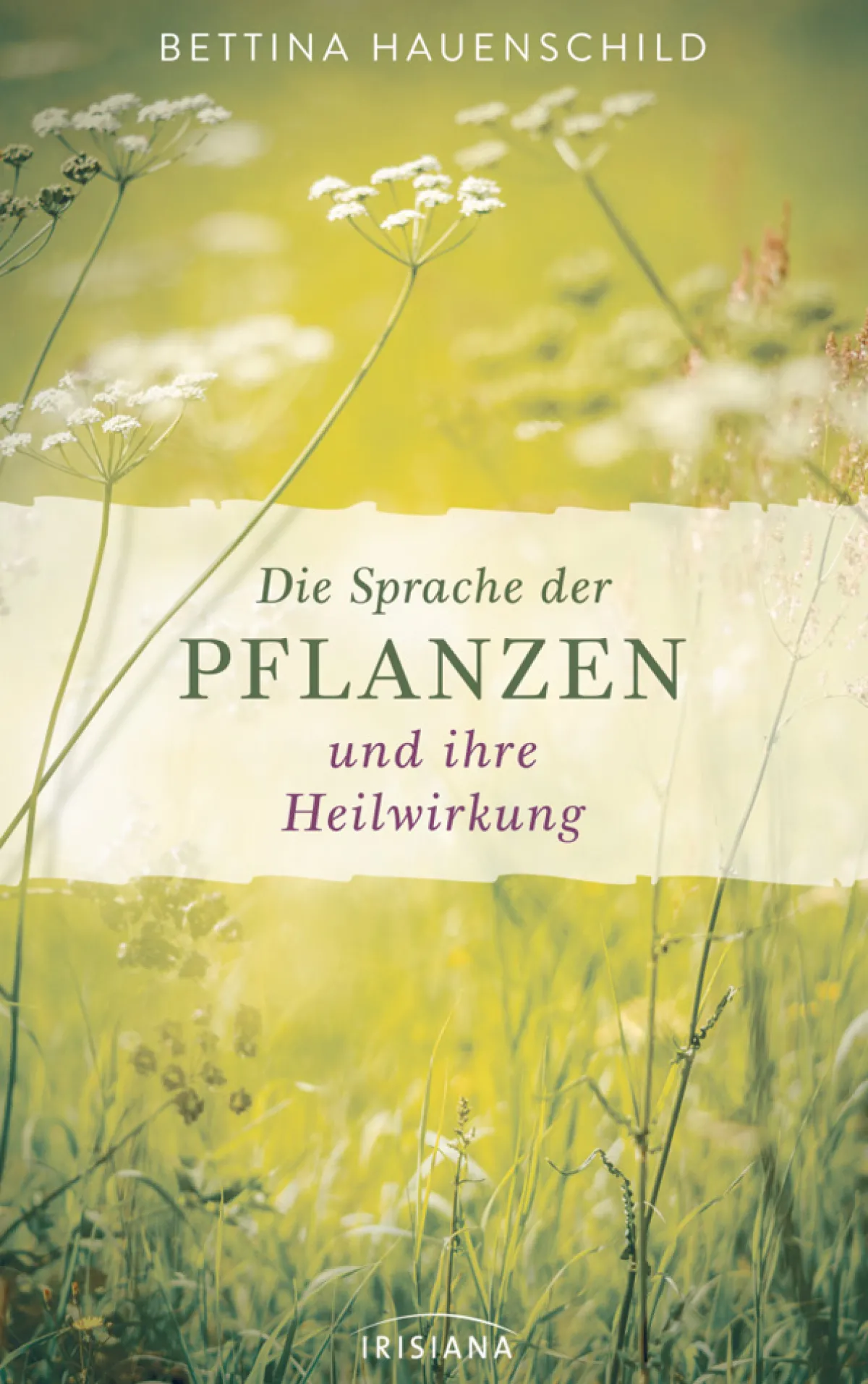 Waschbär Die Sprache der Pflanzen und ihre Heilwirkung Sale