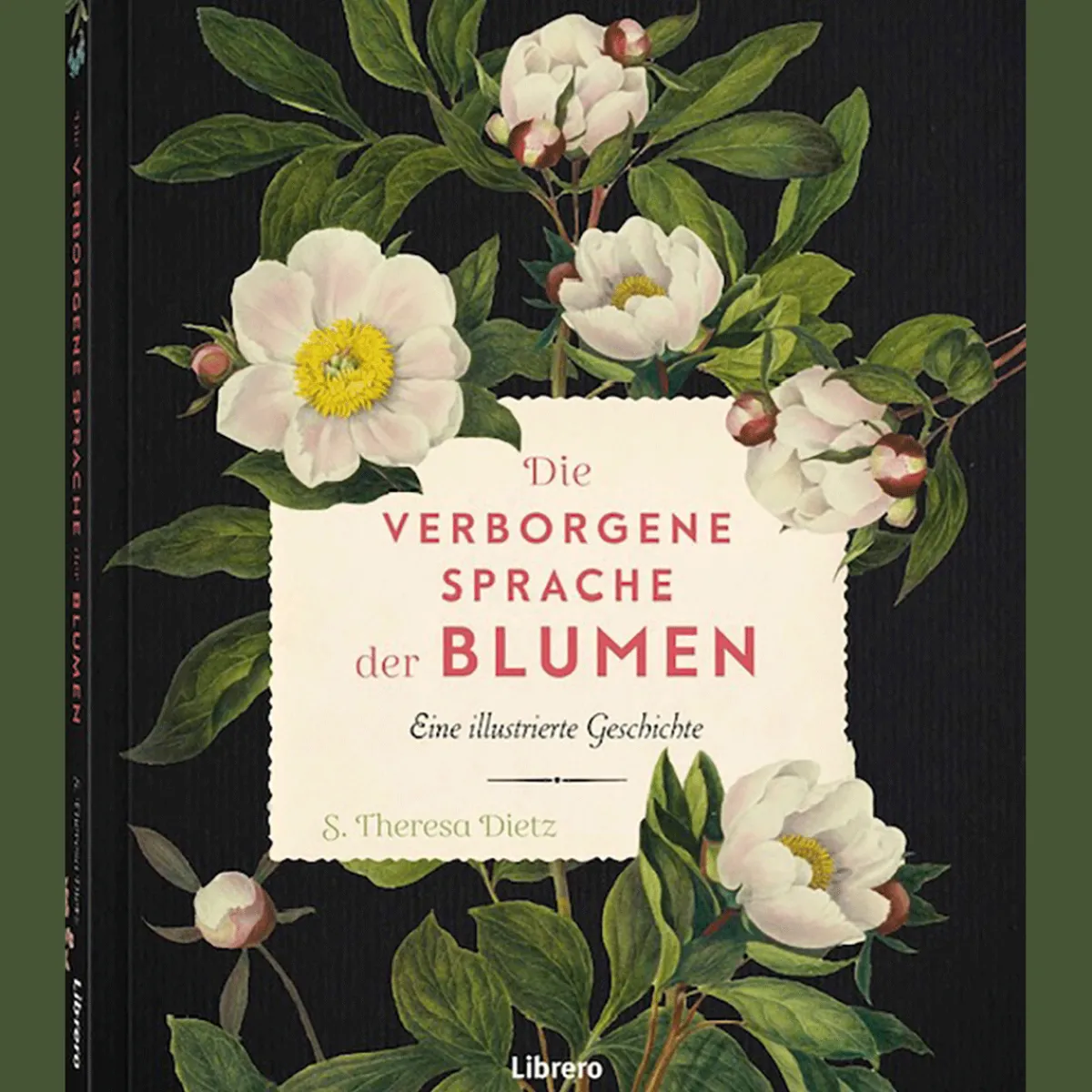 Waschbär Die verborgene Sprache der Blumen: Eine illustrierte Geschichte. Sale