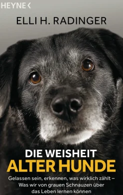 Waschbär Die Weisheit alter Hunde. Gelassen sein, erkennen, was wirklich zählt. Was wir von grauen Schnauzen über das Leben lernen können. Discount