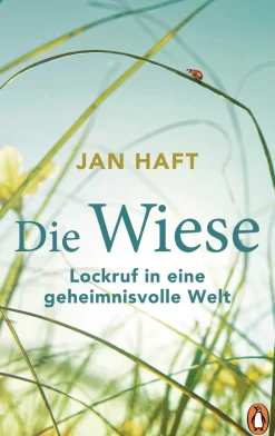 Waschbär Die Wiese. Lockruf in eine geheimnisvolle Welt.