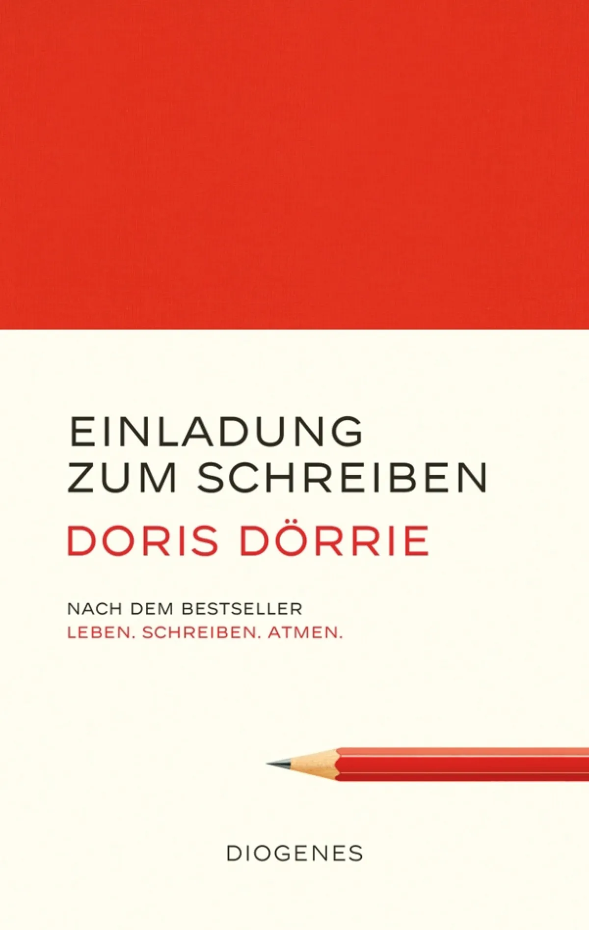 Waschbär Doris Dörrie. Einladung zum Schreiben. Sale
