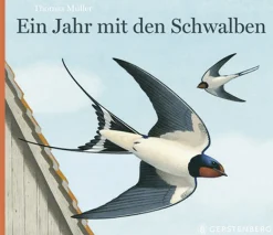 Waschbär Ein Jahr mit den Schwalben. Outlet